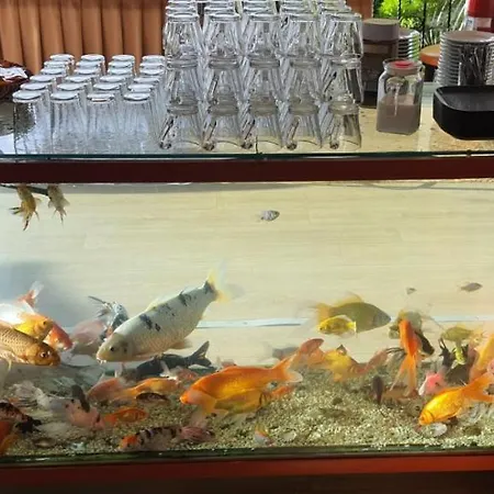 Hotel Grand Yayla 2*