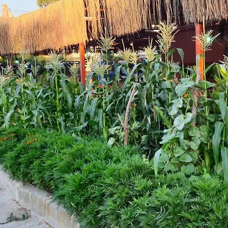 Grand Yayla Hotel 2*