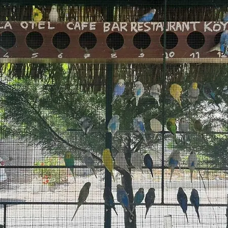 Grand Yayla Hotel